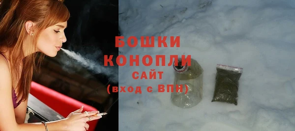 эйфоретик Ельня