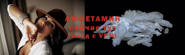 шишки Нея