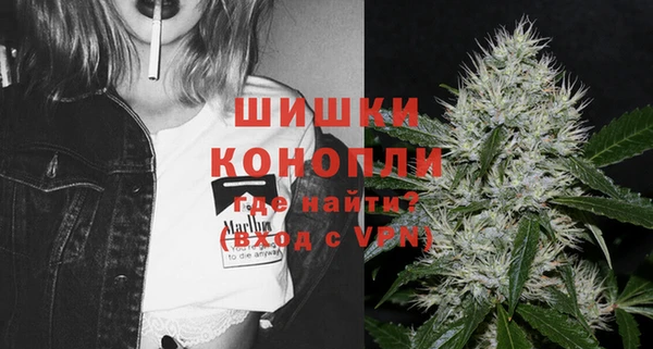 эйфоретик Ельня