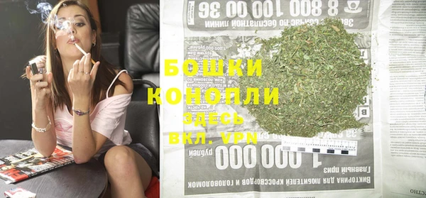 эйфоретик Ельня