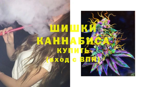 эйфоретик Ельня