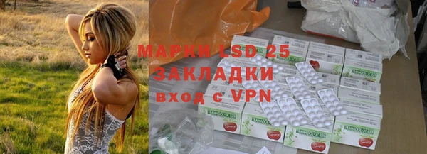 эйфоретик Ельня