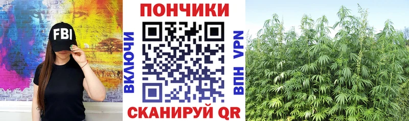 Конопля SATIVA & INDICA  Купить  Дзержинский 